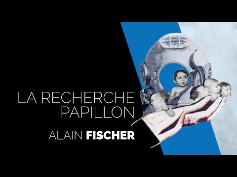La recherche papillon